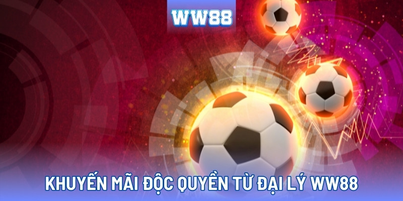 Nhiều chương trình ưu đãi cực hời chỉ có tại đại lý WW88
